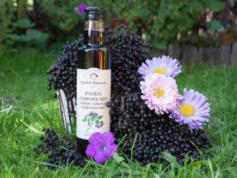 Syrop z owocu czarnego bzu - Poezja z owocu bzu OGRÓDEK DZIADUNIA 315 g Syrop z owocu czarnego bzu - Poezja z owocu bzu OGRÓDEK DZIADUNIA 315 g